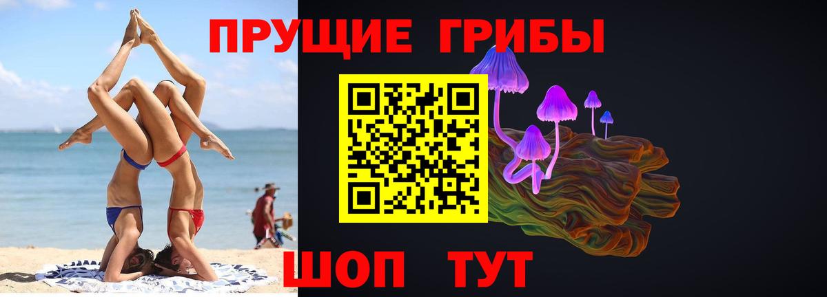 Псилоцибиновые грибы MAGIC MUSHROOMS  Вход с VPN  Валуйки 